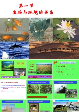 2012年秋七年级生物上册《第一单元  第二章 第一节 生物与环境的关系》课件8 人教新课标版