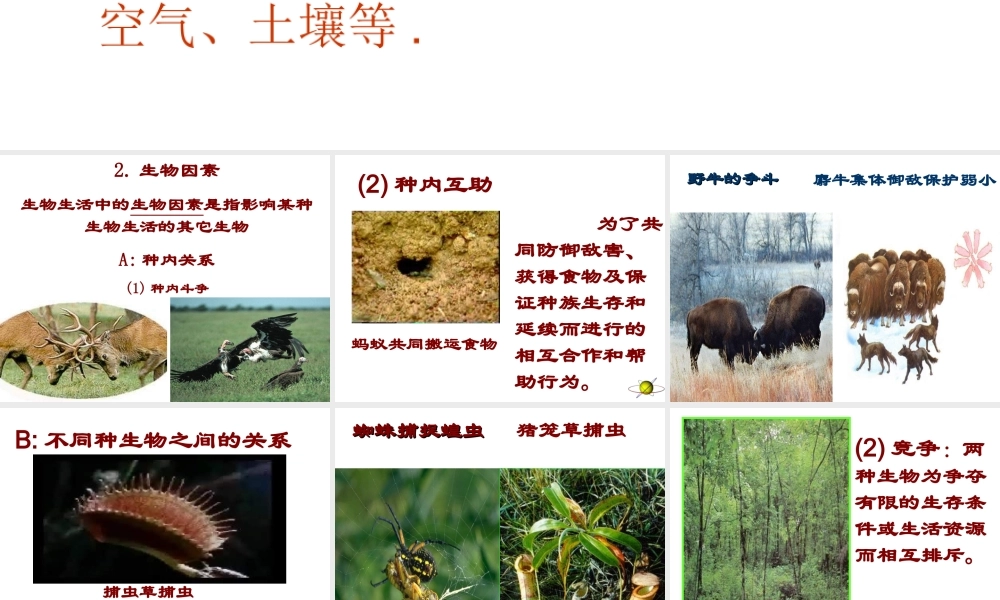 2012年秋七年级生物上册《第一单元  第二章 第一节 生物与环境的关系》课件9 人教新课标版