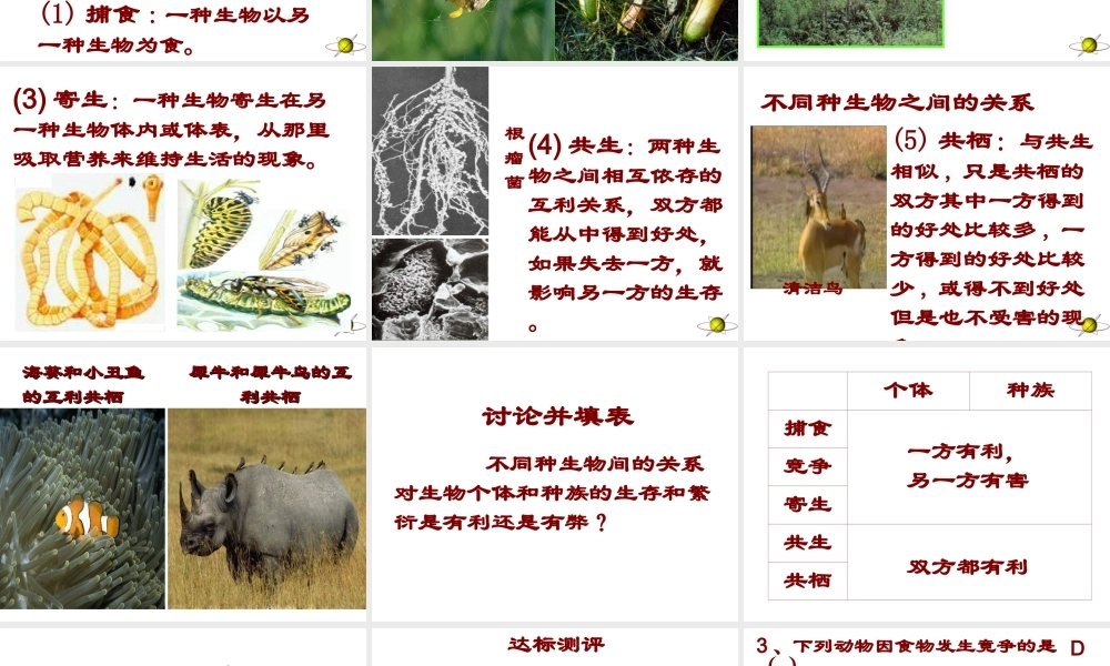 2012年秋七年级生物上册《第一单元  第二章 第一节 生物与环境的关系》课件9 人教新课标版