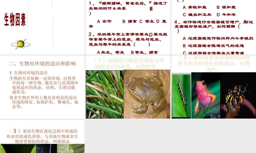 2012年秋七年级生物上册《第一单元  第二章 第一节 生物与环境的关系》课件9 人教新课标版