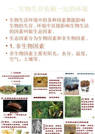 2012年秋七年级生物上册《第一单元  第二章 第一节 生物与环境的关系》课件9 人教新课标版