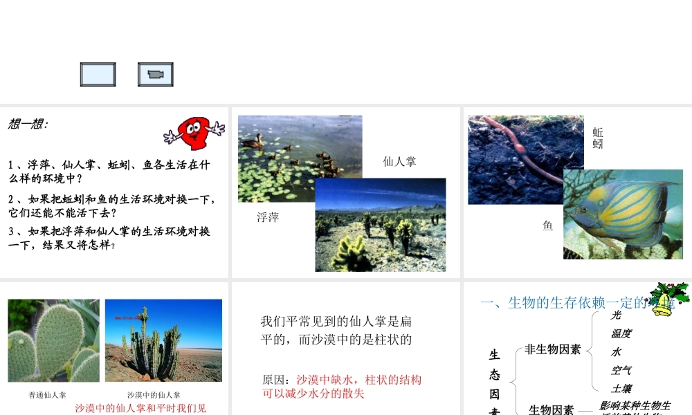 2012年秋七年级生物上册《第一单元  第二章 第一节 生物与环境的关系》课件10 人教新课标版