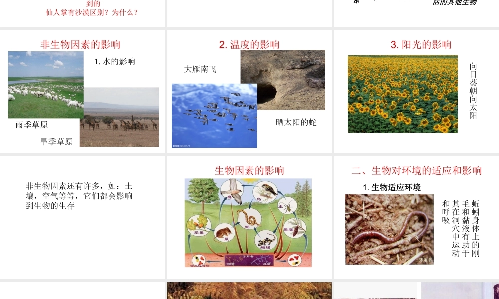 2012年秋七年级生物上册《第一单元  第二章 第一节 生物与环境的关系》课件10 人教新课标版