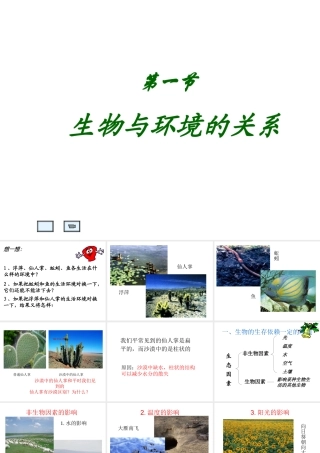 2012年秋七年级生物上册《第一单元  第二章 第一节 生物与环境的关系》课件10 人教新课标版