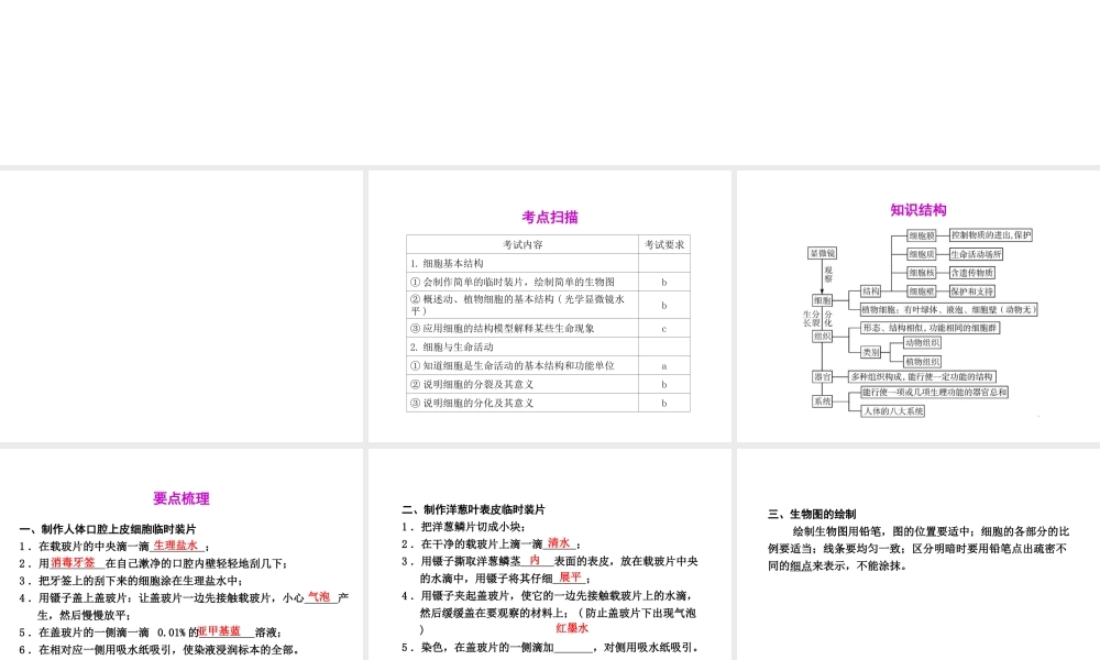 2012年2月中考科学一轮复习 第1课细胞精品课件 浙教版