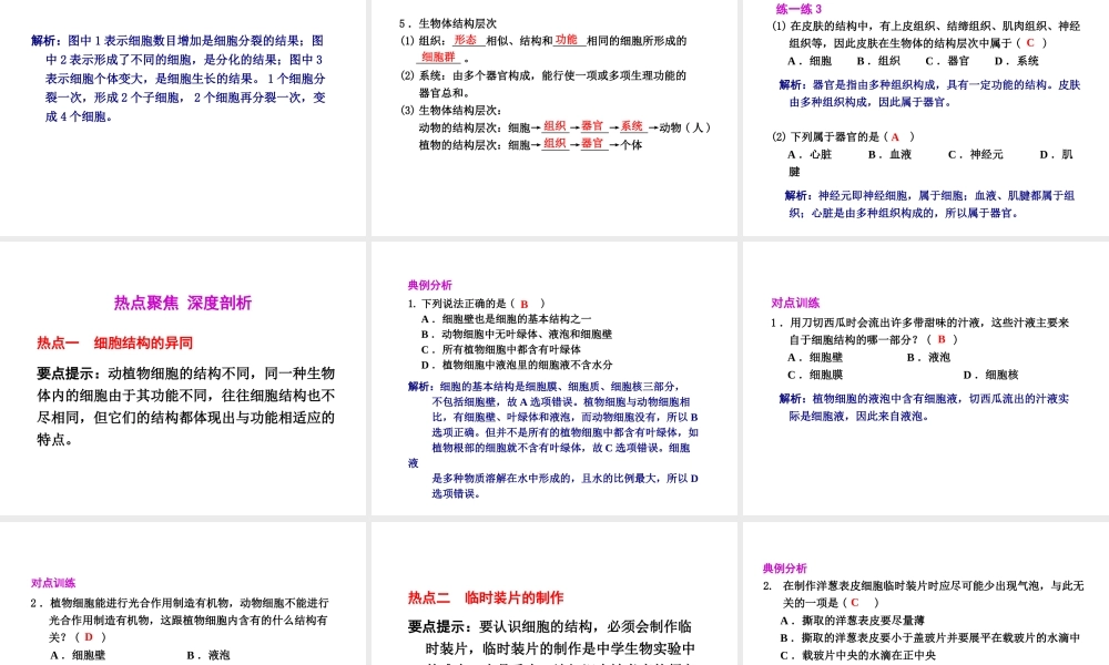 2012年2月中考科学一轮复习 第1课细胞精品课件 浙教版