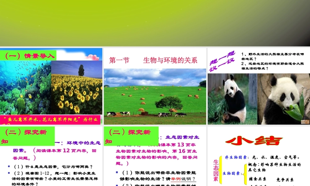 2012年秋七年级生物上册《第一单元  第二章 第一节 生物与环境的关系》课件11 人教新课标版