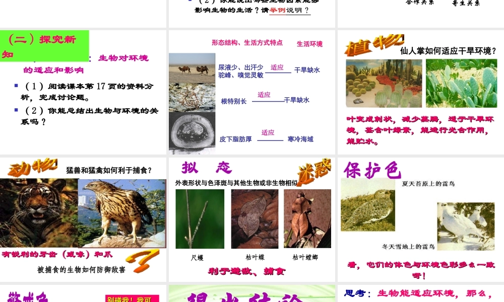 2012年秋七年级生物上册《第一单元  第二章 第一节 生物与环境的关系》课件11 人教新课标版