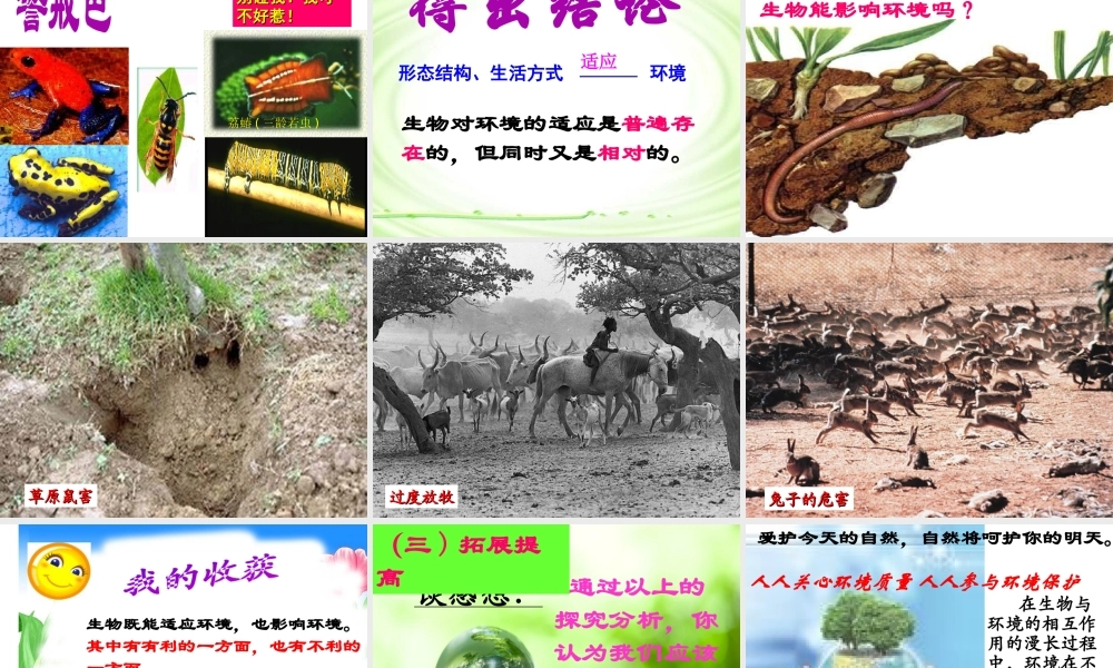 2012年秋七年级生物上册《第一单元  第二章 第一节 生物与环境的关系》课件11 人教新课标版