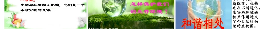 2012年秋七年级生物上册《第一单元  第二章 第一节 生物与环境的关系》课件11 人教新课标版
