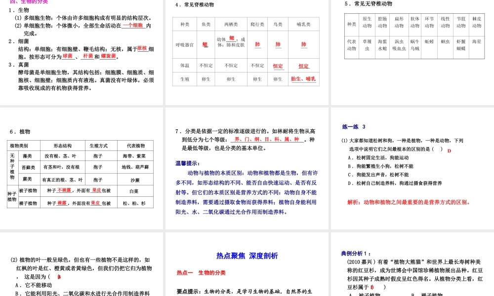 2012年2月中考科学一轮复习 第2课各种各样的生物精品课件 浙教版