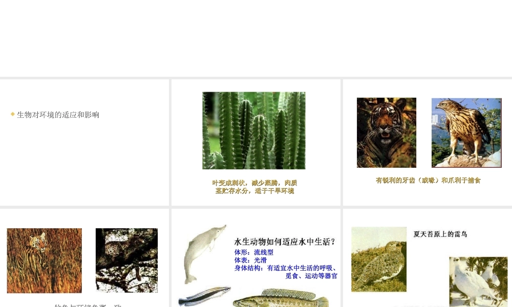 2012年秋七年级生物上册《第一单元  第二章 第一节 生物与环境的关系》课件12 人教新课标版