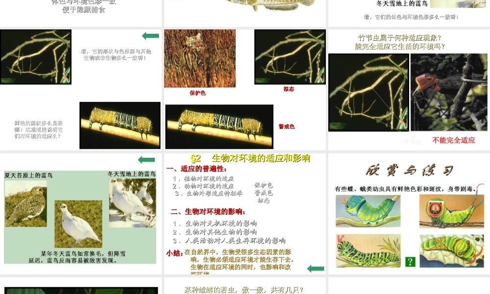 2012年秋七年级生物上册《第一单元  第二章 第一节 生物与环境的关系》课件12 人教新课标版