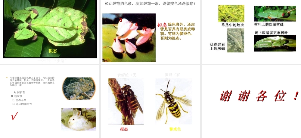 2012年秋七年级生物上册《第一单元  第二章 第一节 生物与环境的关系》课件12 人教新课标版