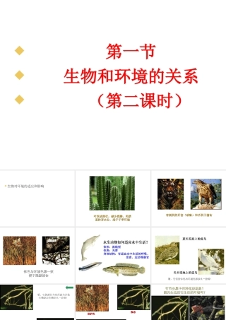 2012年秋七年级生物上册《第一单元  第二章 第一节 生物与环境的关系》课件12 人教新课标版
