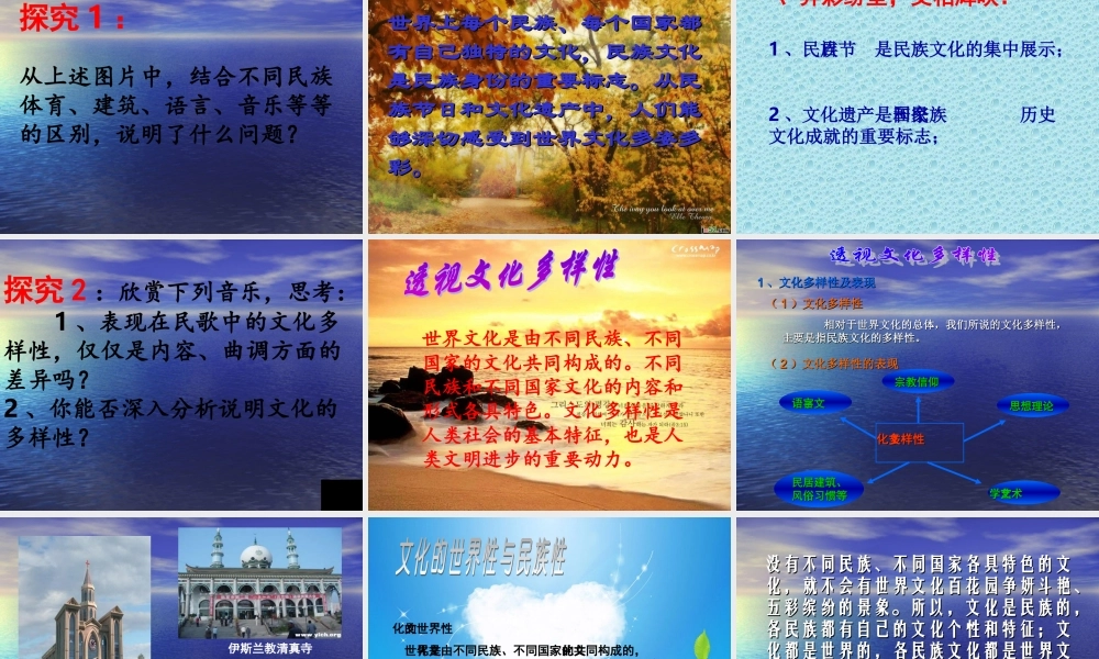 2.3.1世界文化的多样性课件
