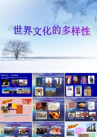 2.3.1世界文化的多样性课件