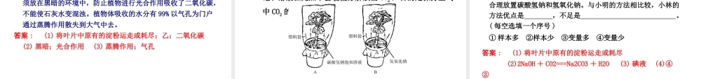 2012年2月中考科学一轮复习 第4课植物的新陈代谢1精品课件 浙教版