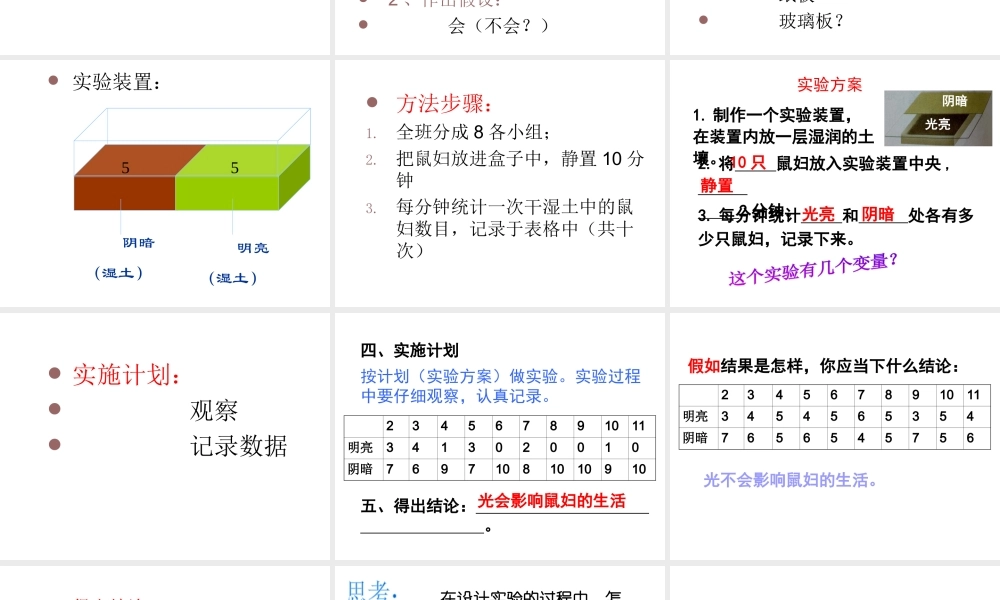 2012年秋七年级生物上册《第一单元  第二章 第一节 生物与环境的关系》课件14 人教新课标版