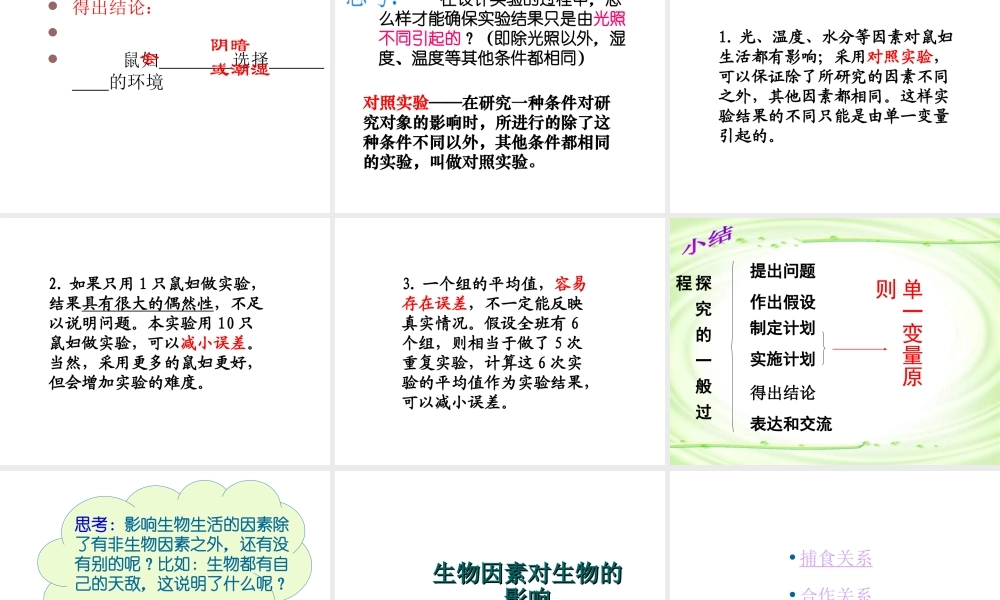 2012年秋七年级生物上册《第一单元  第二章 第一节 生物与环境的关系》课件14 人教新课标版