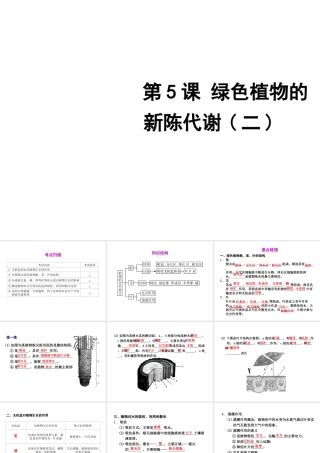 2012年2月中考科学一轮复习 第5课植物的新成代谢2精品课件 浙教版