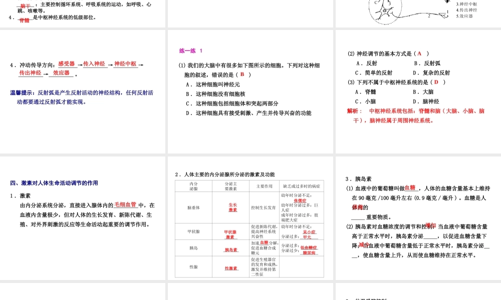 2012年2月中考科学一轮复习 第7课神经和激素的调节精品课件 浙教版