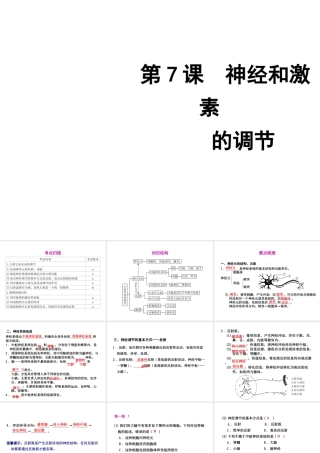 2012年2月中考科学一轮复习 第7课神经和激素的调节精品课件 浙教版