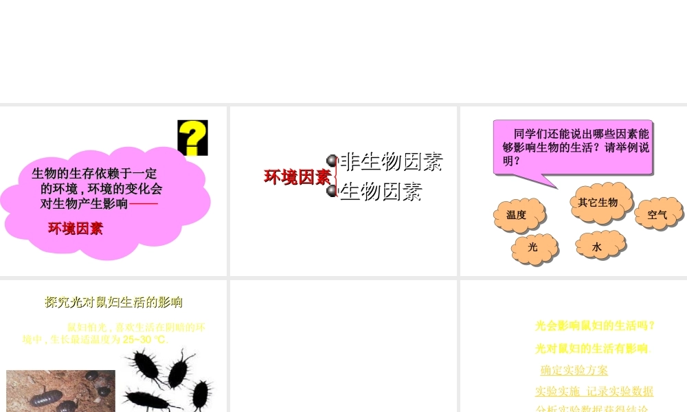 2012年秋七年级生物上册《第一单元  第二章 第一节 生物与环境的关系》课件16 人教新课标版