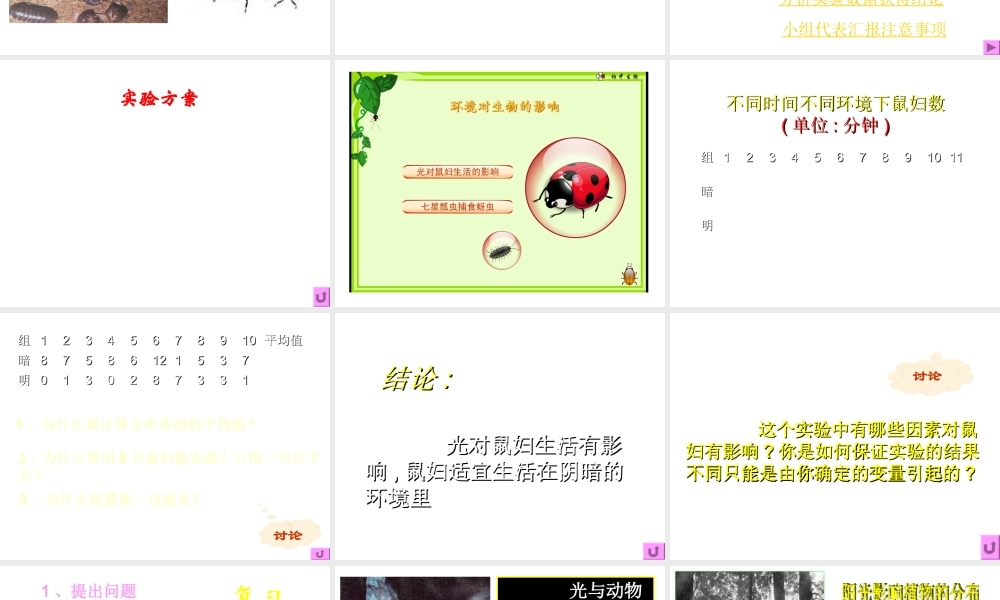 2012年秋七年级生物上册《第一单元  第二章 第一节 生物与环境的关系》课件16 人教新课标版