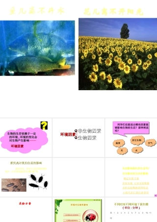 2012年秋七年级生物上册《第一单元  第二章 第一节 生物与环境的关系》课件16 人教新课标版