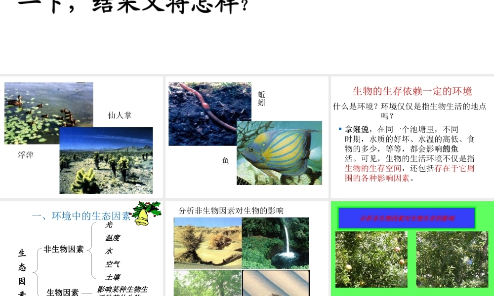 2012年秋七年级生物上册《第一单元  第二章 第一节 生物与环境的关系》课件17 人教新课标版