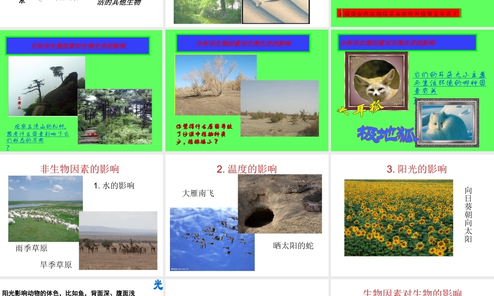 2012年秋七年级生物上册《第一单元  第二章 第一节 生物与环境的关系》课件17 人教新课标版