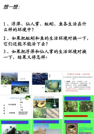 2012年秋七年级生物上册《第一单元  第二章 第一节 生物与环境的关系》课件17 人教新课标版