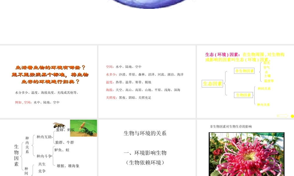 2012年秋七年级生物上册《第一单元  第二章 第一节 生物与环境的关系》课件19 人教新课标版