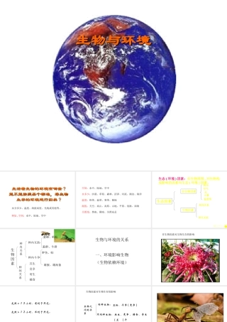 2012年秋七年级生物上册《第一单元  第二章 第一节 生物与环境的关系》课件19 人教新课标版