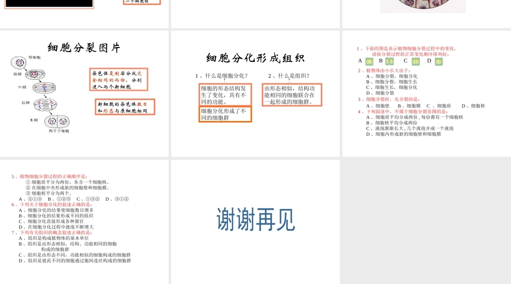 2012年秋七年级生物上册《第一单元 第二章 第二节 细胞的分裂和分化》课件1 济南版