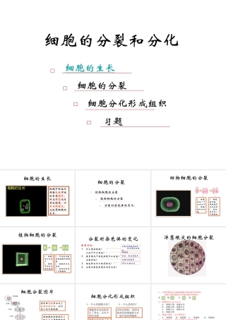 2012年秋七年级生物上册《第一单元 第二章 第二节 细胞的分裂和分化》课件1 济南版