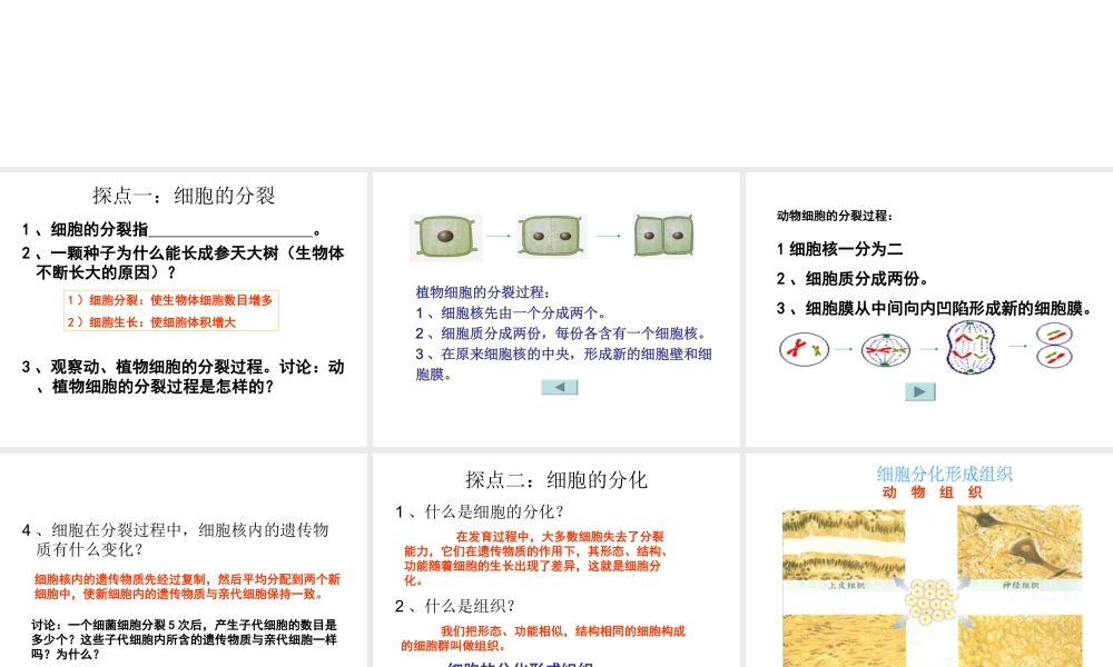 2012年秋七年级生物上册《第一单元 第二章 第二节 细胞的分裂和分化》课件2 济南版