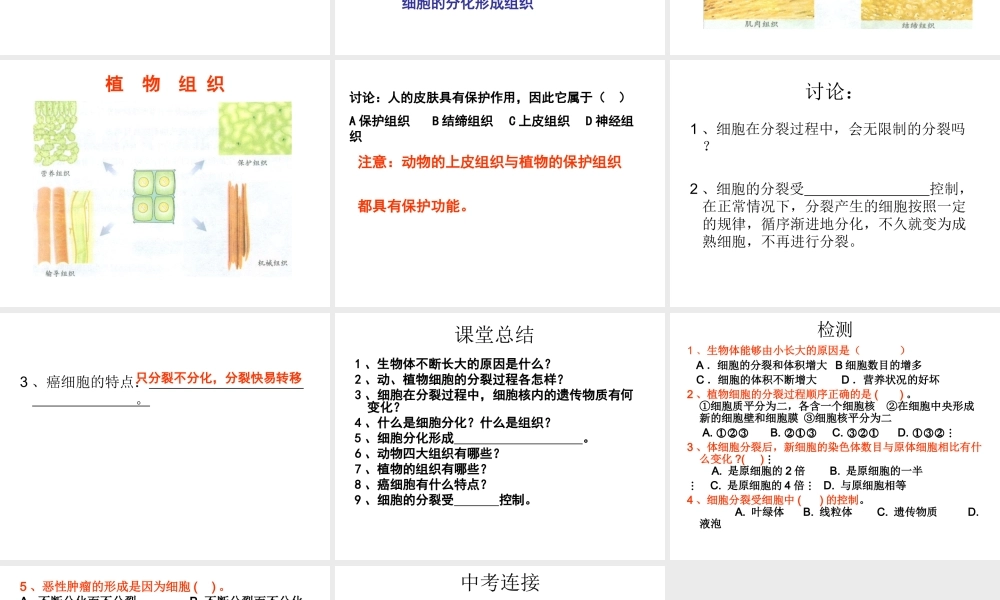2012年秋七年级生物上册《第一单元 第二章 第二节 细胞的分裂和分化》课件2 济南版