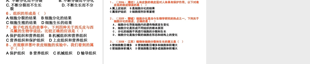 2012年秋七年级生物上册《第一单元 第二章 第二节 细胞的分裂和分化》课件2 济南版