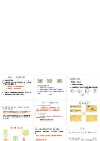 2012年秋七年级生物上册《第一单元 第二章 第二节 细胞的分裂和分化》课件2 济南版
