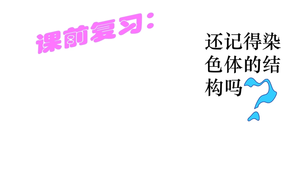 2012年秋七年级生物上册《第一单元 第二章 第二节 细胞的分裂和分化》课件3 济南版