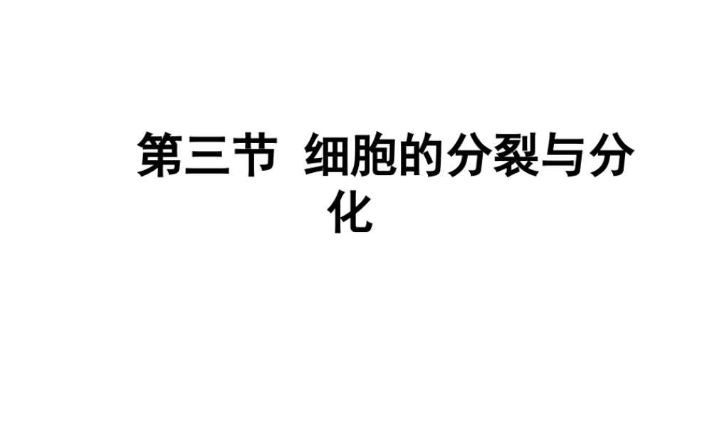 2012年秋七年级生物上册《第一单元 第二章 第二节 细胞的分裂和分化》课件4 济南版