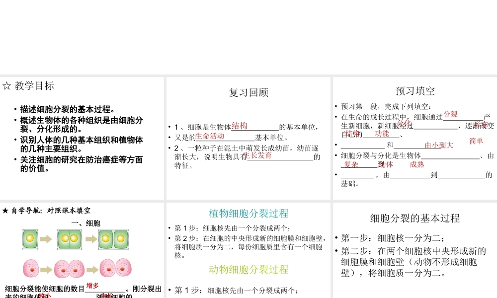 2012年秋七年级生物上册《第一单元 第二章 第二节 细胞的分裂和分化》课件4 济南版