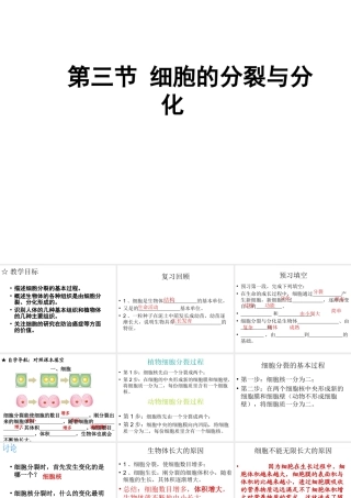2012年秋七年级生物上册《第一单元 第二章 第二节 细胞的分裂和分化》课件4 济南版
