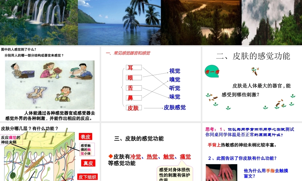 1.1感觉世界（1）