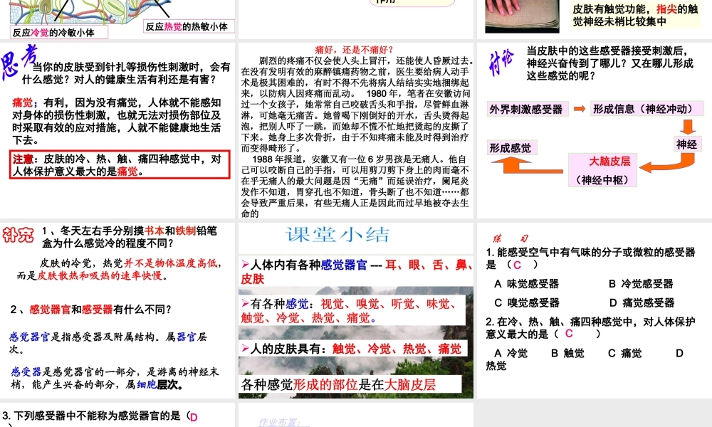 1.1感觉世界（1）