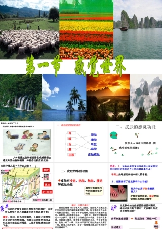 1.1感觉世界（1）