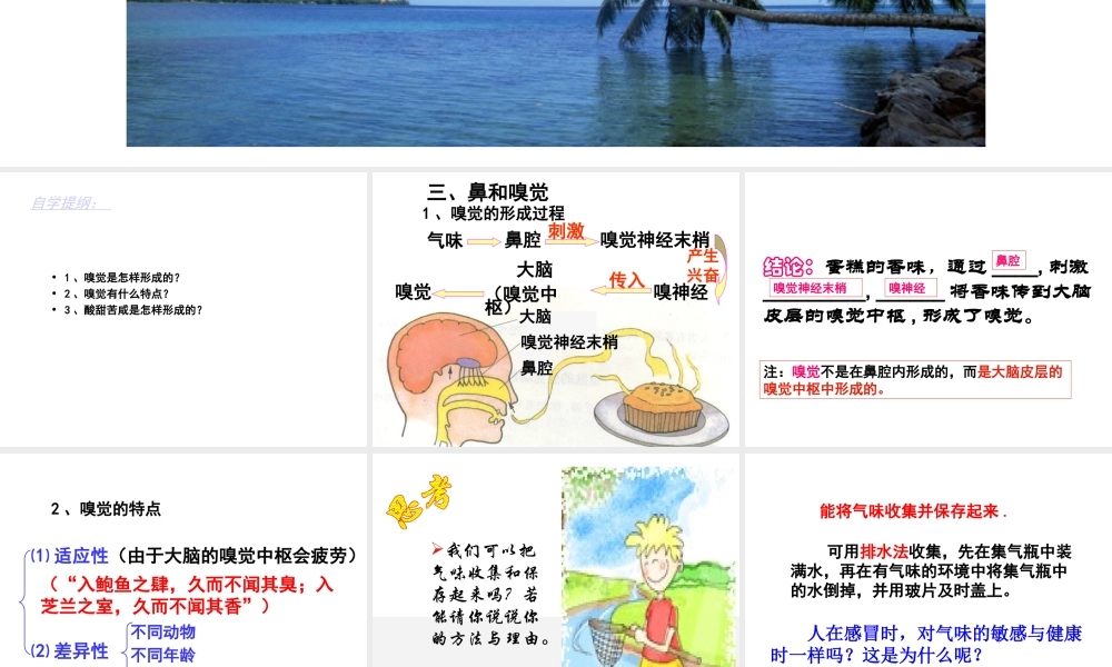 1.1感觉世界（第二课时）