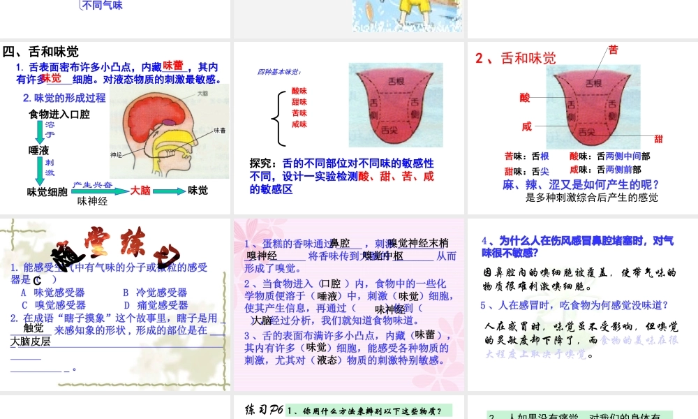 1.1感觉世界（第二课时）